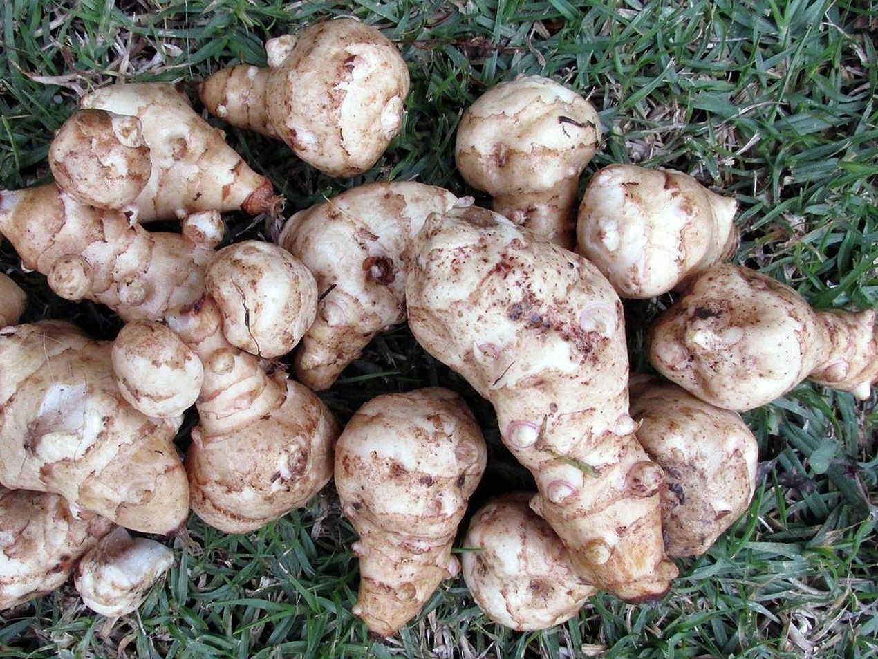 Truchas al limón